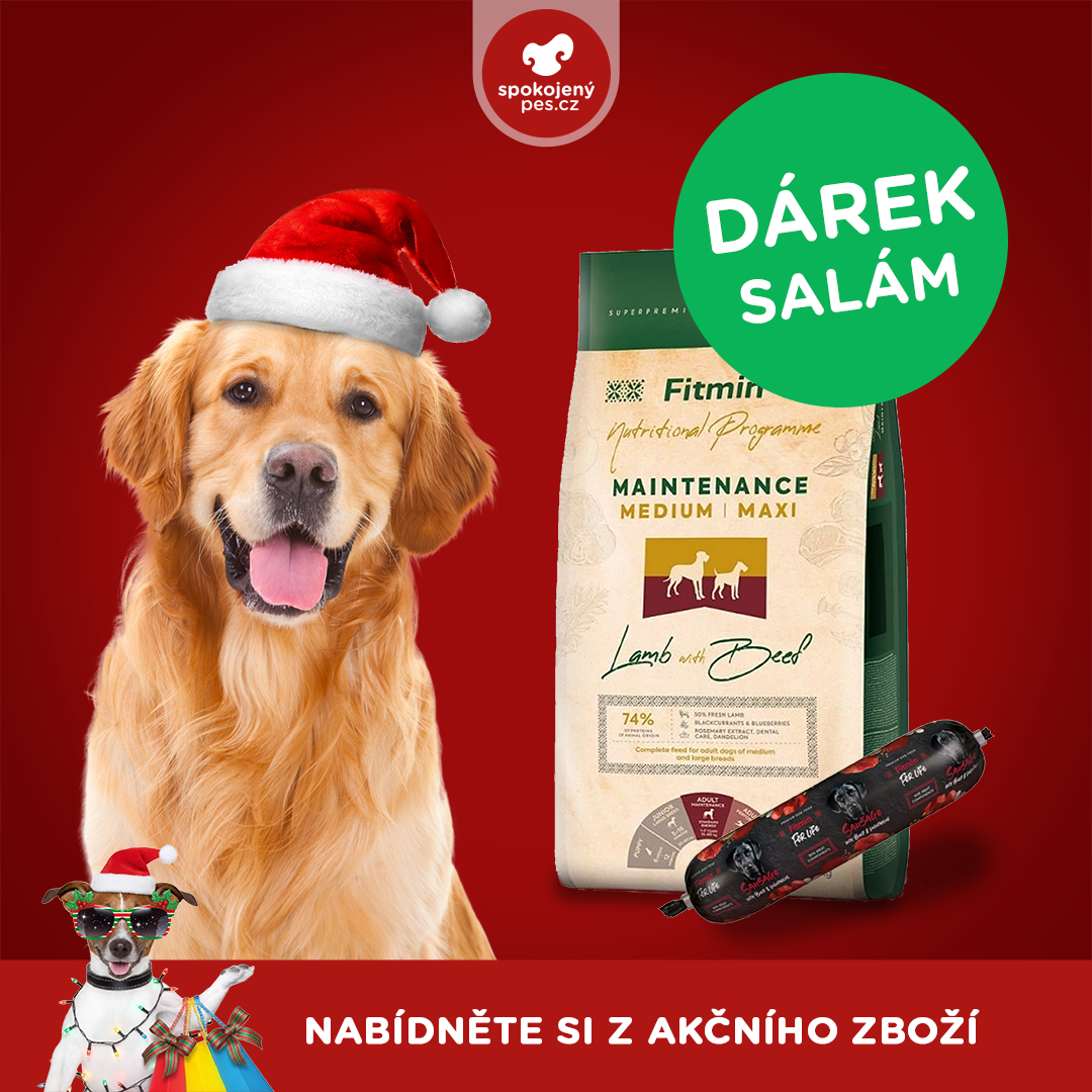 akční prosinec_pes1.png